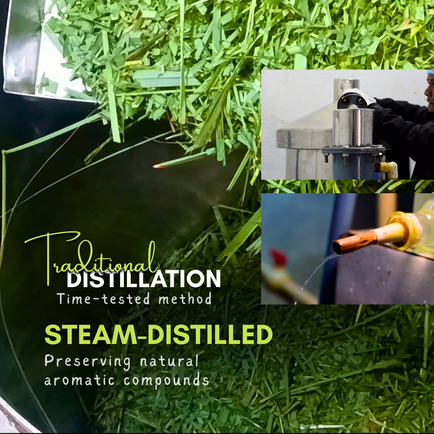 Lemongrass Oil Extraction Method